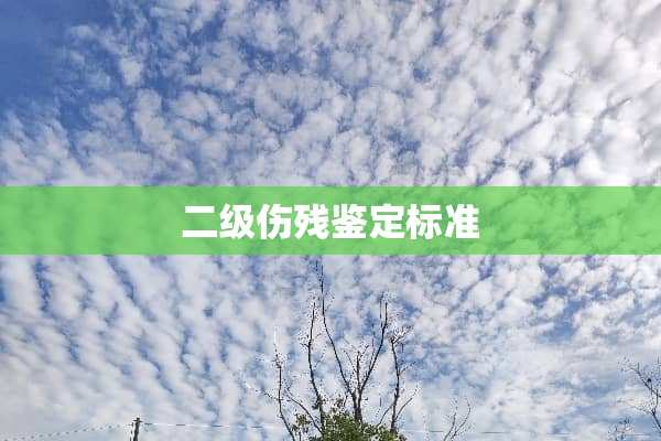 二级伤残鉴定标准