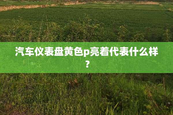 汽车仪表盘**p亮着代表什么样？
