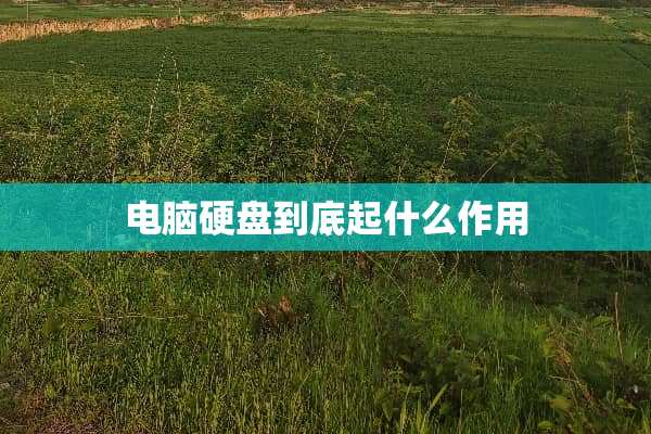电脑硬盘到底起什么作用