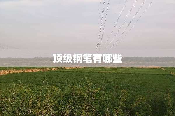 **钢笔有哪些