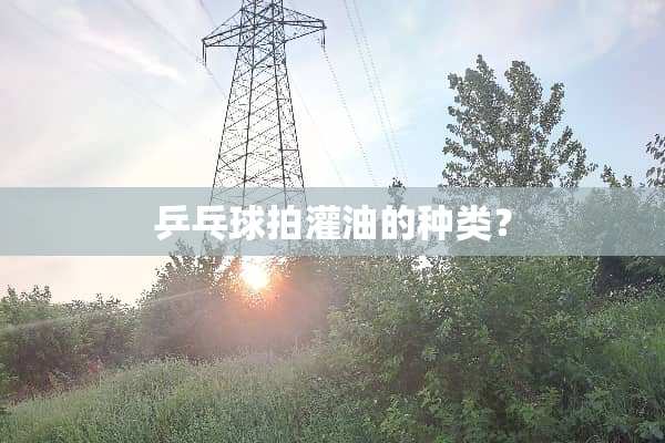 乒乓球拍灌油的种类？
