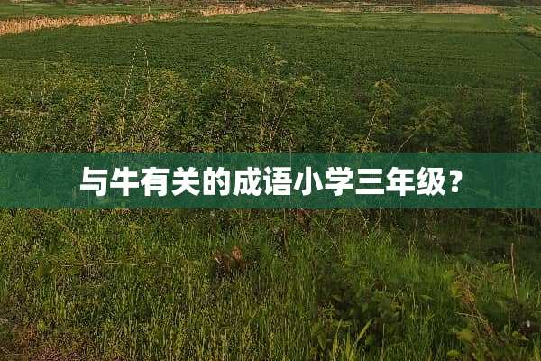 与牛有关的成语小学三年级？