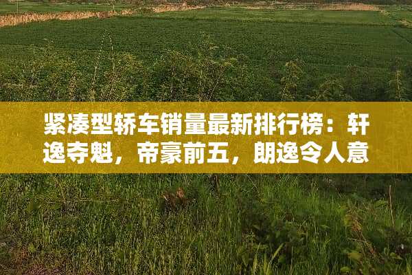 紧凑型轿车销量最新排行榜：轩逸夺魁，帝豪前五，朗逸令人意外！