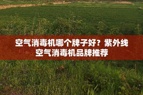 空气消毒机哪个牌子好？紫外线空气消毒机品牌推荐