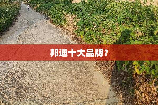邦迪十大品牌？