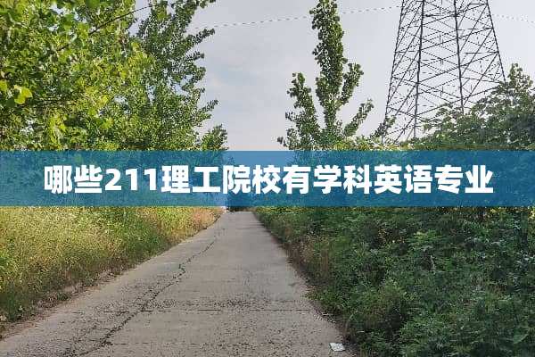 哪些211理工院校有学科英语专业