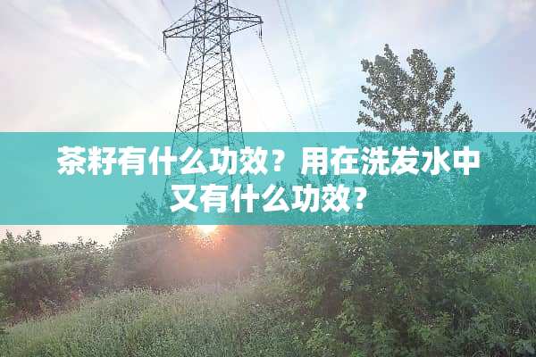 茶籽有什么功效？用在洗发水中又有什么功效？