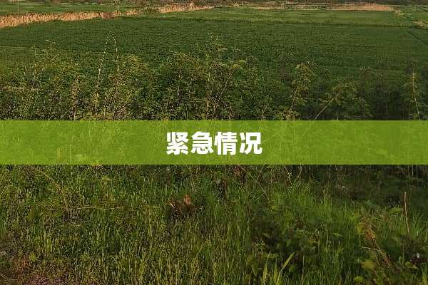 紧急情况