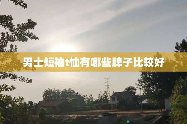 男士短袖t恤有哪些牌子比较好
