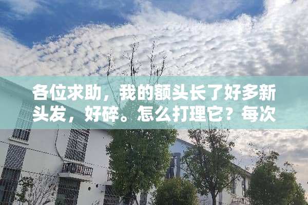 各位求助，我的额头长了好多新头发，好碎。怎么打理它？每次它都飞起来，太猥琐了？