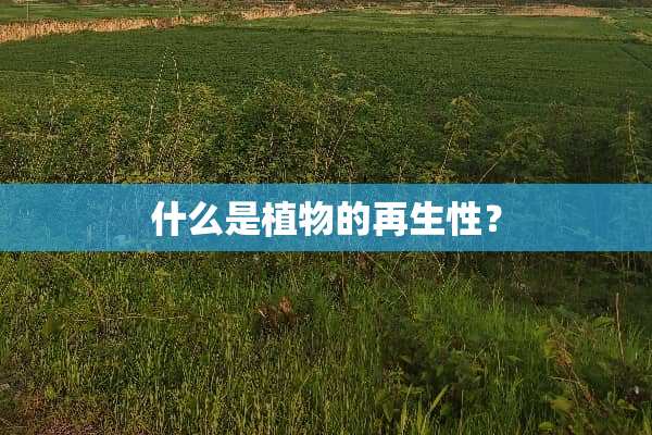 什么是植物的再生性？