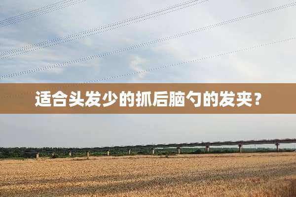 适合头发少的抓后脑勺的发夹？