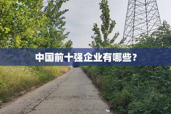 中国前十强企业有哪些？