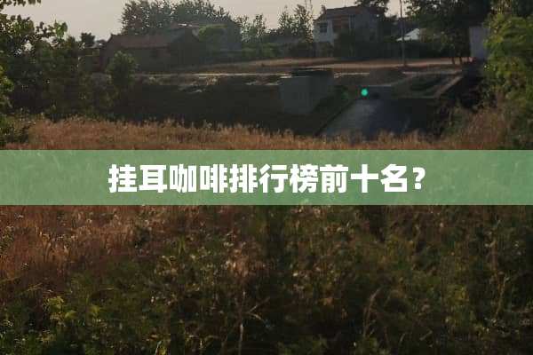 挂耳咖啡排行榜前十名？