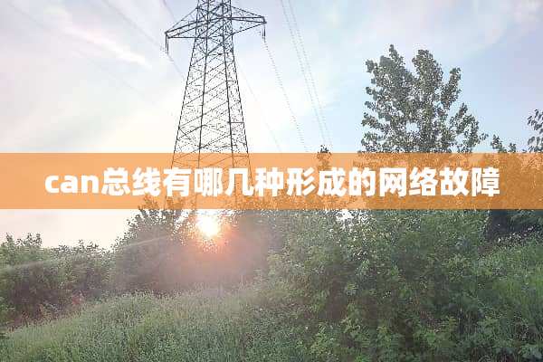 can总线有哪几种形成的网络故障
