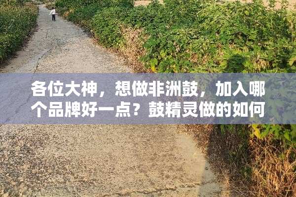 各位大神，想做非洲鼓，加入哪个品牌好一点？鼓精灵做的如何？