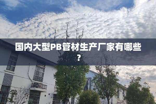 国内大型PB管材生产厂家有哪些？