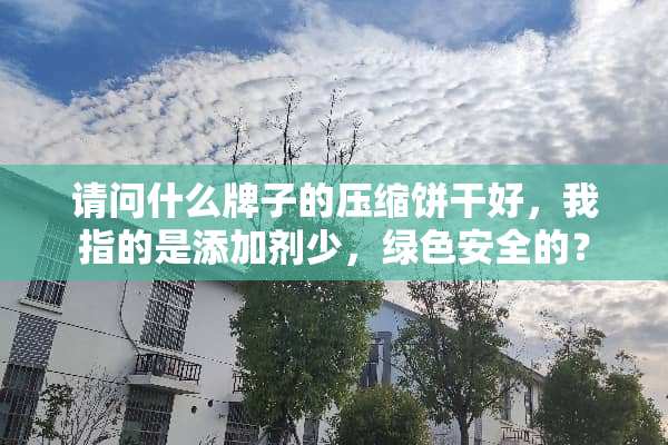 请问什么牌子的压缩饼干好，我指的是添加剂少，绿色安全的？