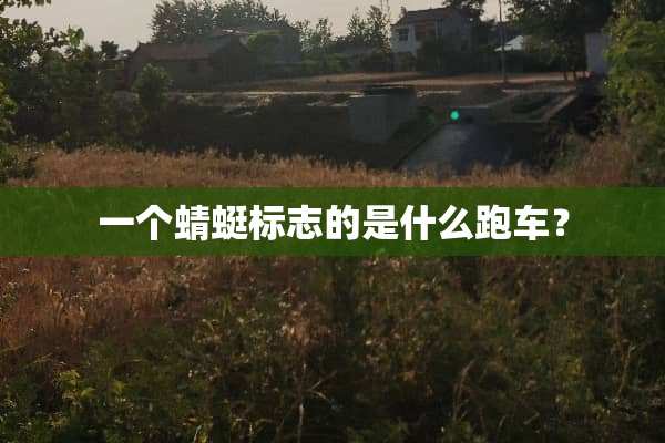 一个蜻蜓标志的是什么跑车？