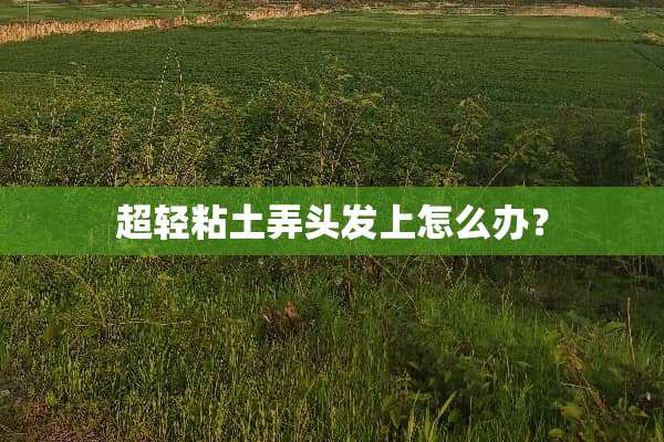 超轻粘土弄头发上怎么办？