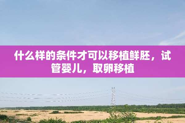 什么样的条件才可以移植鲜胚，试管婴儿，取卵移植