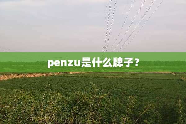 penzu是什么牌子？