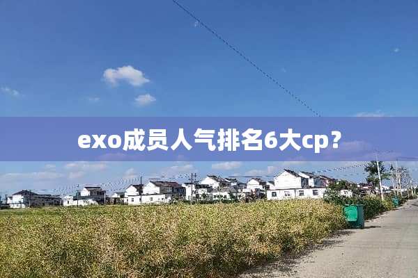 exo成员人气排名6大cp？