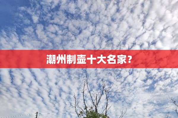 潮州制壶十大名家？