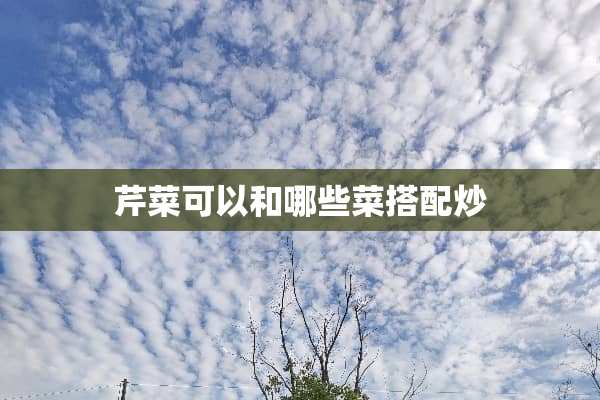 芹菜可以和哪些菜搭配炒