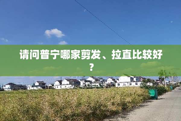 请问普宁哪家剪发、拉直比较好？