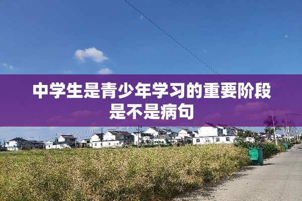 中学生是青少年学习的重要阶段是不是病句