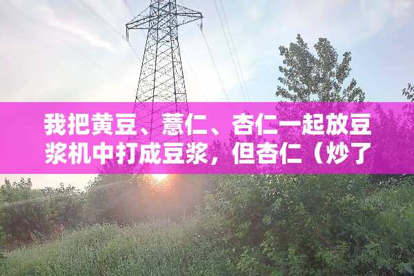 我把黄豆、薏仁、杏仁一起放豆浆机中打成豆浆，但杏仁（炒了的）没打碎，该怎么办呢？