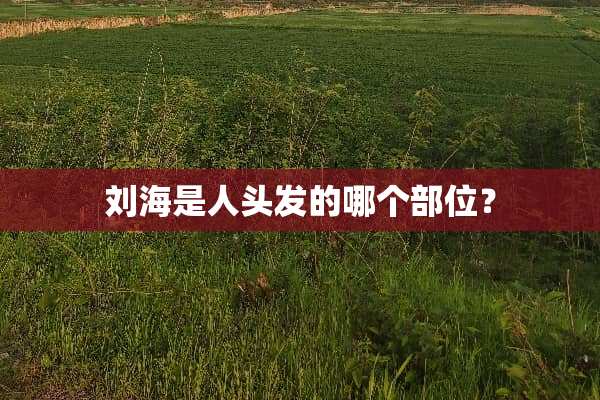 刘海是人头发的哪个部位？