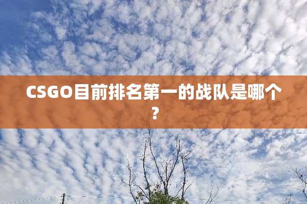 CSGO目前排名第一的战队是哪个？