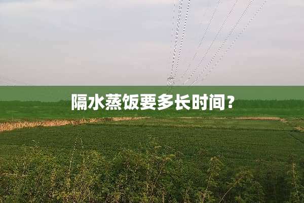 隔水蒸饭要多长时间？