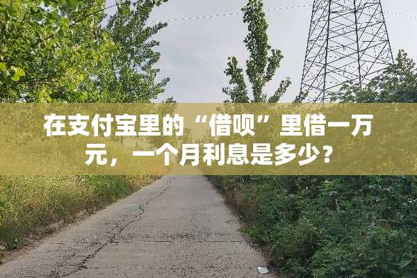 在支付宝里的“借呗”里借一万元，一个月利息是多少？