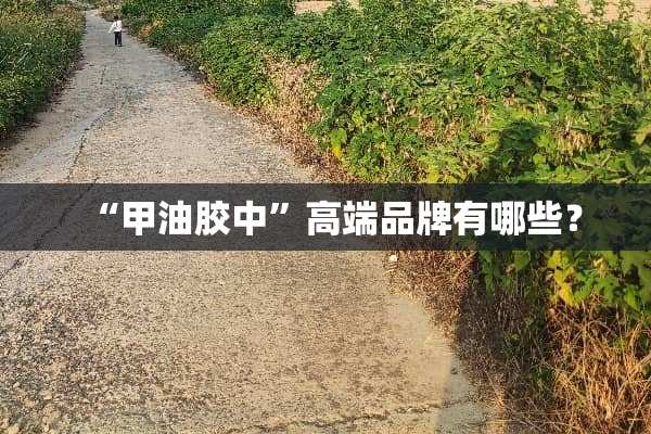 “甲油胶中”高端品牌有哪些？