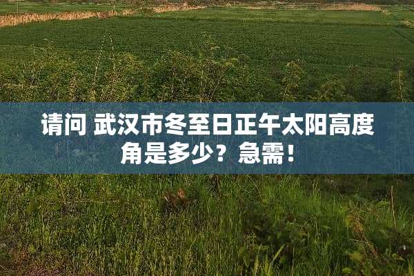 请问 武汉市冬至日正午太阳高度角是多少？急需！