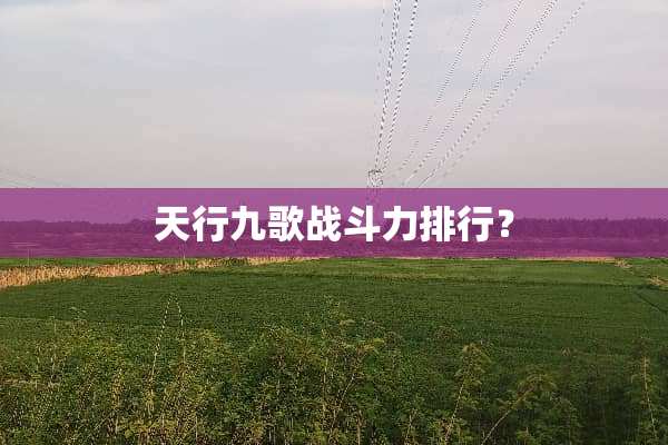 天行九歌战斗力排行？