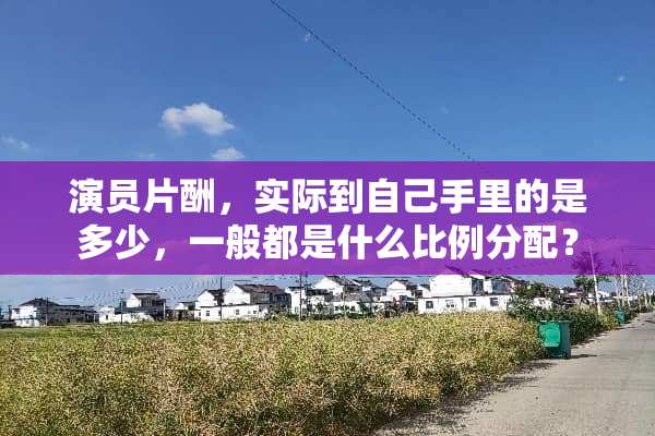 演员片酬，实际到自己手里的是多少，一般都是什么比例分配？