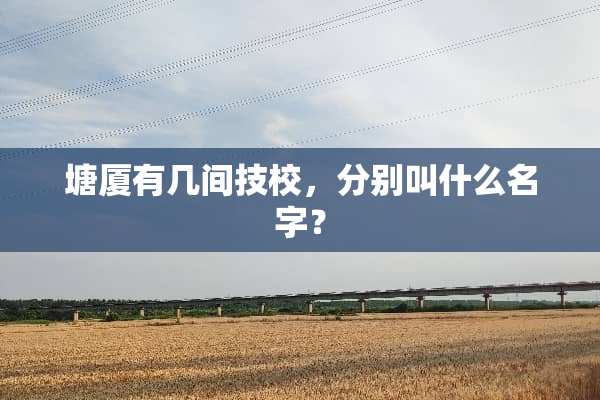 塘厦有几间技校，分别叫什么名字？