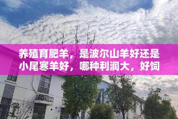 养殖育肥羊，是波尔山羊好还是小尾寒羊好，哪种利润大，好饲养