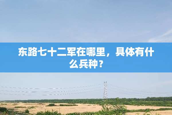东路七十二军在哪里，具体有什么兵种？
