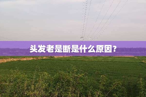 头发老是断是什么原因？