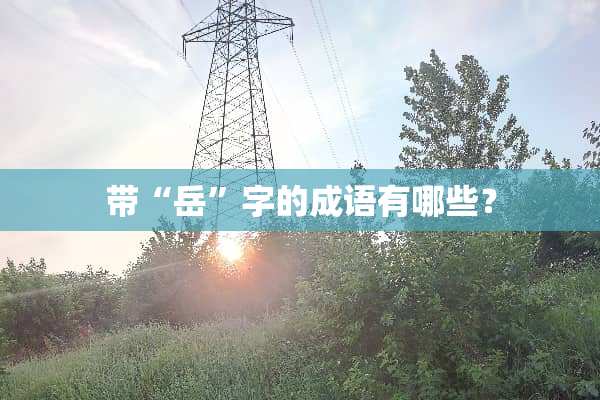 带“岳”字的成语有哪些？