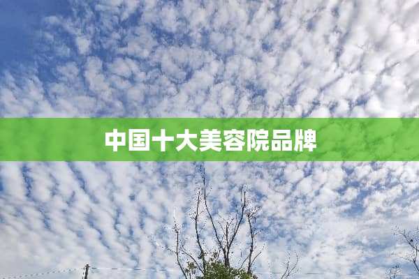 中国十大美容院品牌