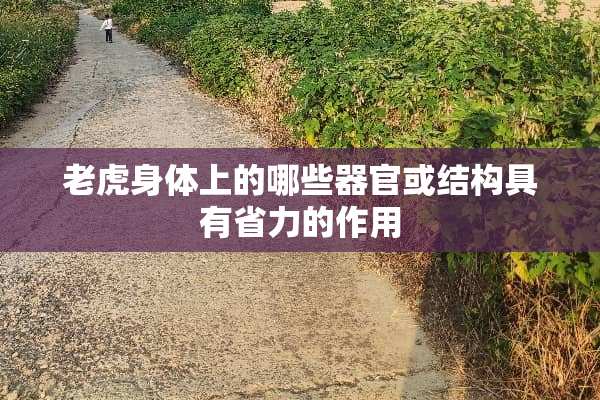 老虎身体上的哪些**或结构具有省力的作用