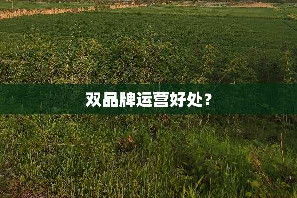 双品牌运营好处？