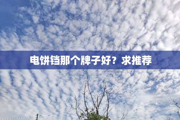 电饼铛那个牌子好？求推荐