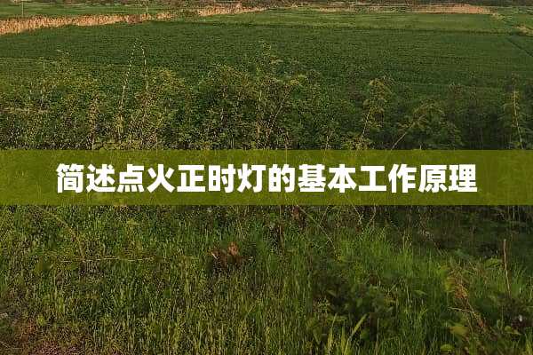 简述点火正时灯的基本工作原理